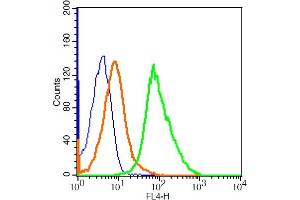 A549 cells probed with PTK9 Polyclonal Antibody, ALEXA FLUOR® 647 Conjugated (bs-4196R-A647) at 5ug for 30 minutes compared to control cells (blue) and isotype control (orange).