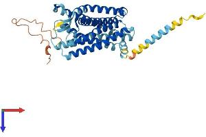AlphaFold protein structure predicition of Mouse Recombinant Oprl1 Protein, UniprotID P35377