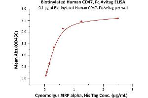 Immobilized Biotinylated Human CD47, Fc,Avitag (ABIN2870532,ABIN2870533) at 1 μg/mL (100 μL/well) on streptavidin precoated (0.
