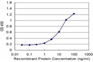 Detection limit for recombinant GST tagged PURA is approximately 1ng/ml as a capture antibody. (PURA anticorps  (AA 183-292))