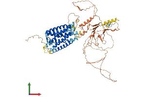 AlphaFold protein structure predicition of Mouse Recombinant Gpr149 Protein, UniprotID Q3UVY1