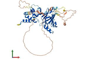 AlphaFold protein structure predicition of Human Recombinant SMAD7 Protein, UniprotID O15105