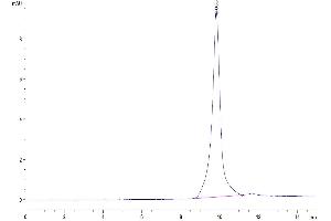 The purity of Mouse IL-20 is greater than 95 % as determined by SEC-HPLC.