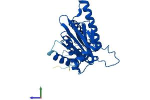 AlphaFold protein structure predicition of Human Recombinant PSMA6 Protein, UniprotID P60900