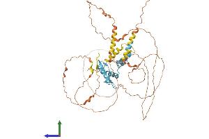 AlphaFold protein structure predicition of Mouse Recombinant Klf11 Protein, UniprotID Q8K1S5