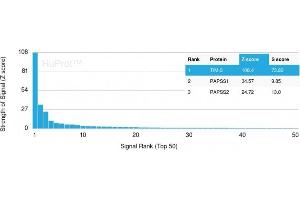 Analysis of Protein Array containing more than 19,000 full-length human proteins using TIM-3 Mouse Monoclonal Antibody (TIM3/3113) Z- and S- Score: The Z-score represents the strength of a signal that a monoclonal antibody (MAb) (in combination with a fluorescently-tagged anti-IgG secondary antibody) produces when binding to a particular protein on the HuProtTM array.