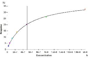 Mouse IL-5 R alpha, His Tag immobilized on CM5 Chip can bind Biotinylated Mouse IL-5, His-Avi Tag with an affinity constant of 0.