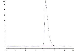 The purity of Mouse TMEM106B is greater than 95 % as determined by SEC-HPLC.