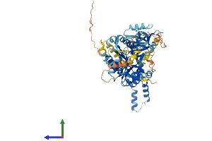 AlphaFold protein structure predicition of Mouse Recombinant Mpp4 Protein, UniprotID Q6P7F1
