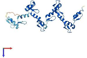 AlphaFold protein structure predicition of Human Recombinant ZNF146 Protein, UniprotID Q15072