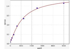 Hyaluronan Synthase 2 (HAS2) ELISA Kit