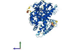 AlphaFold protein structure predicition of Human Recombinant CYP26A1 Protein, UniprotID O43174