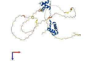 AlphaFold protein structure predicition of Human Recombinant PAX9 Protein, UniprotID P55771