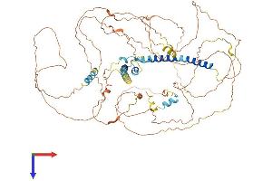 AlphaFold protein structure predicition of Human Recombinant DACT2 Protein, UniprotID Q5SW24