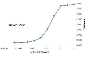 ELISA of Rabbit anti-Host Cell Protein antibody. (HCP anticorps  (HMW, LMW))