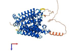 AlphaFold protein structure predicition of Mouse Recombinant Mboat2 Protein, UniprotID Q8R3I2