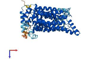 AlphaFold protein structure predicition of Human Recombinant SLC2A1 Protein, UniprotID P11166