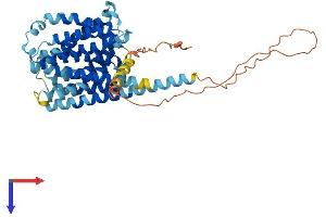 AlphaFold protein structure predicition of Mouse Recombinant Slc35d3 Protein, UniprotID Q8BGF8