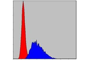 Flow cytometric analysis of NIH/3T3 cells using CASP8 mouse mAb (blue) and negative control (red).