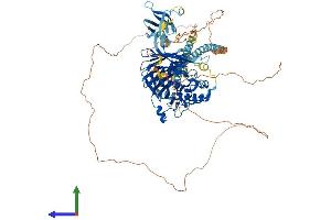 AlphaFold protein structure predicition of Human Recombinant OSBP2 Protein, UniprotID Q969R2