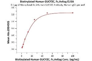 Immobilized Monoclonal A GUCY2C Antibody, Human IgG1 at 1 μg/mL (100 μL/well) can bind Biotinylated Human GUCY2C, Fc,Avitag (ABIN6973083) with a linear range of 0. (GUCY2C Protein (AA 24-430) (Fc Tag,AVI tag,Biotin))