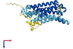 Olfactory Receptor 1G1 (OR1G1) (AA 1-313) protein (His tag)