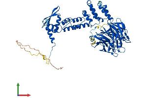 AlphaFold protein structure predicition of Mouse Recombinant Keap1 Protein, UniprotID Q9Z2X8