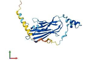 AlphaFold protein structure predicition of Human Recombinant ARHGDIG Protein, UniprotID Q99819
