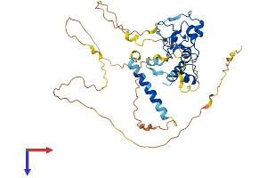AlphaFold protein structure predicition of Human Recombinant CDCA7 Protein, UniprotID Q9BWT1