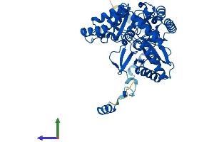 AlphaFold protein structure predicition of Mouse Recombinant Sptlc1 Protein, UniprotID O35704