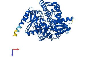 AlphaFold protein structure predicition of Human Recombinant THNSL2 Protein, UniprotID Q86YJ6