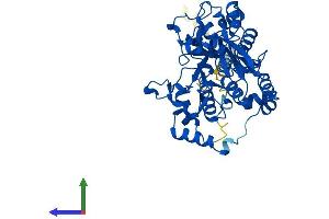 AlphaFold protein structure predicition of Human Recombinant GCNT1 Protein, UniprotID Q02742