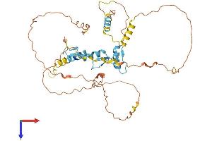 AlphaFold protein structure predicition of Mouse Recombinant Sp5 Protein, UniprotID Q9JHX2