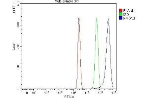 Flow Cytometry analysis of HepG2 cells using anti-PTPIP51/RMDN3 antibody (ABIN7601775). (RMDN3 anticorps  (AA 45-438))