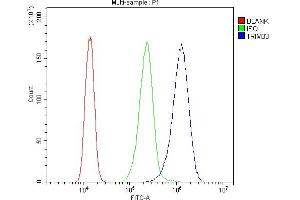 Flow Cytometry analysis of A431 cells using anti-TIF1 gamma antibody (ABIN3043492).