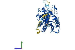 AlphaFold protein structure predicition of Mouse Recombinant Gbgt1 Protein, UniprotID Q8VI38