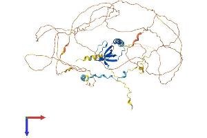 AlphaFold protein structure predicition of Mouse Recombinant Pram1 Protein, UniprotID Q6BCL1
