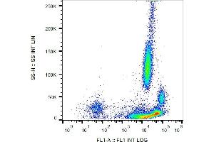 Flow cytometry analysis (surface staining) of β2-microglobulin in human peripheral blood with anti-β2-microglobulin (B2M-01) FITC.