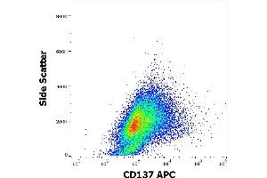 Flow cytometry surface staining pattern of human PHA stimulated peripheral blood mononuclear cell suspension stained using anti-humam CD137 (4B4-1) APC antibody (10 μL reagent per milion cells in 100 μL of cell suspension). (CD137 anticorps  (APC))