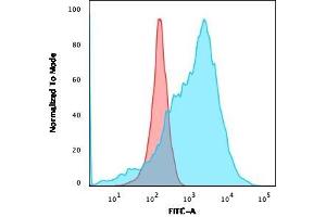 Flow Cytometric Analysis of K562 cells using GLUT-1 Recombinant Rabbit Monoclonal Antibody (GLUT1/3132R) followed by goat anti-rabbit IgG-CF488 (Blue); Isotype Control (Red).