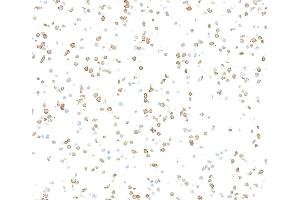 Immunocytochemistry (ICC) image for anti-CD36 (CD36) (AA 30-439) antibody (ABIN7449417) (Recombinant CD36 anticorps  (AA 30-439))