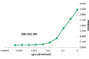 ELISA of Rabbit anti-Low Molecular Weight Host Cell Protein antibody. (LMW HCP anticorps)