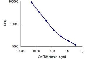 Antigen: Human GAPDH, Capture: GAPDH antibody (10R-G109a) served as a coating; Detection: GAPDH antibody (10R-G109a) &nbsp;(labelled with stable Eu3+ chelate). (GAPDH anticorps)