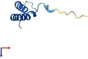 AlphaFold protein structure predicition of Human Recombinant TRIAP1 Protein, UniprotID O43715