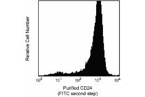 Diffrerential expression of CD24 on thymocytes and peripheral T lymphocytes.