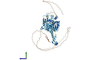AlphaFold protein structure predicition of Human Recombinant DDX50 Protein, UniprotID Q9BQ39