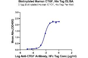 Immobilized Biotinylated Human CTGF, hFc Tag at 1 μg/mL (100 μL/well) on the plate.