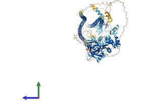AlphaFold protein structure predicition of Human Recombinant CARD14 Protein, UniprotID Q9BXL6