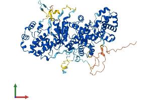 AlphaFold protein structure predicition of Mouse Recombinant Tbck Protein, UniprotID Q8BM85