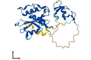 AlphaFold protein structure predicition of Mouse Recombinant Slx1b Protein, UniprotID Q8BX32